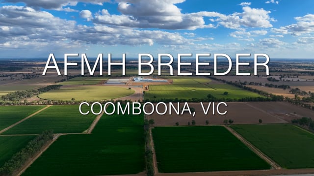 AFMH Dairy Farms (Coomboona & Moxey Dairies) - Overview