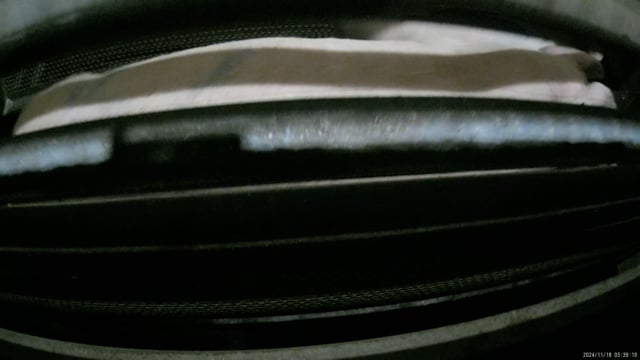 Hidden camera - Pig gas chamber (lower)