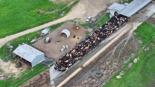 DJI_20260618161001_0069-LW