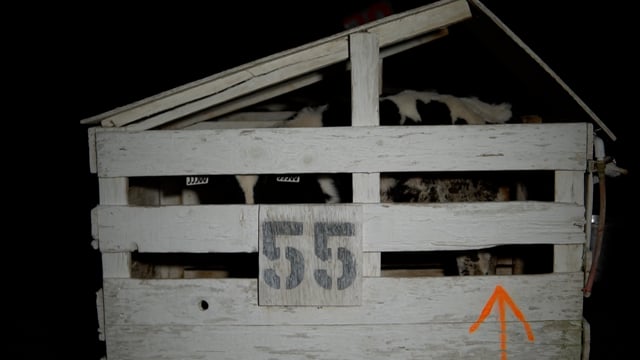 Tule through side of hutches