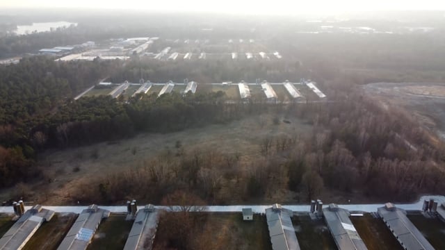 Poultry farms Königs Wusterhausen-Brandenburg (PHW-Gruppe)