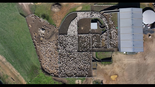 DJI_20260624121656_0098_D