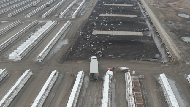 Mendes Calf Ranch drone footage