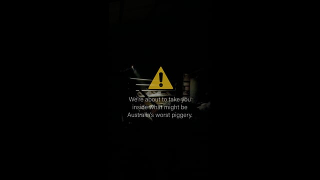 Is this Australia's worst piggery? (Instagram version)