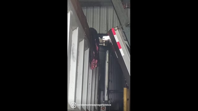 VID_62340828_025347_482
