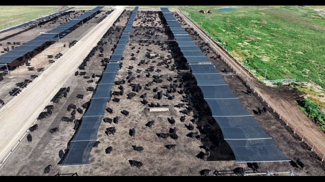 Nullamanna Feedlot - Inverell NSW