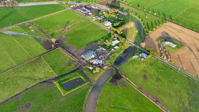 NSW Dairies 2025 - Summary