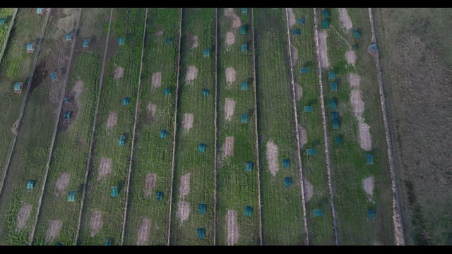 Terrace Farm - Free Range Eggs - Drone Footage