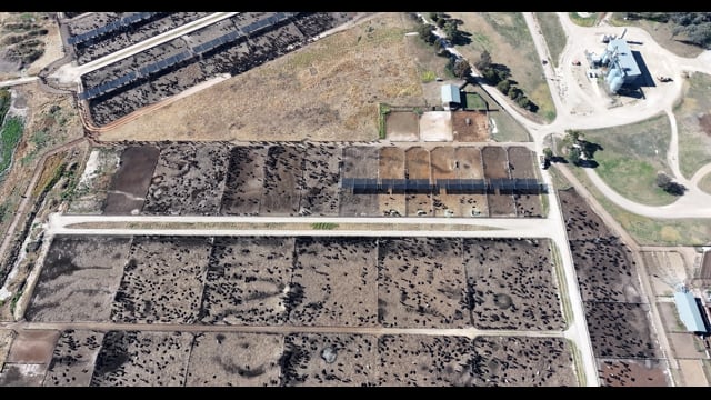 Gunnee Feedlot - Delungra NSW