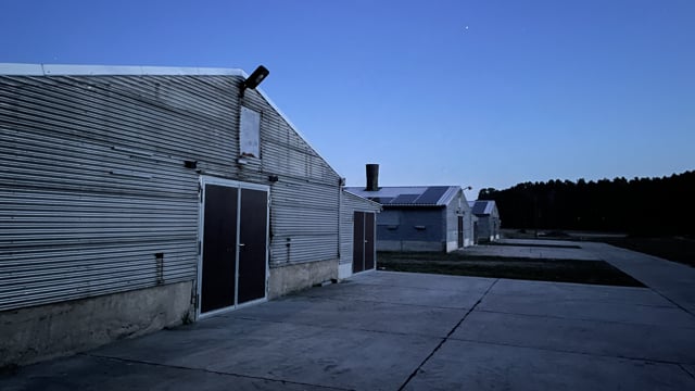 Poultry farm at night Brandenburg