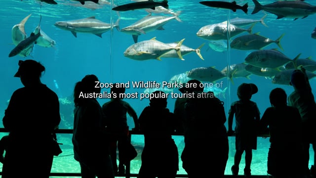 Australian Zoos - Campaign video