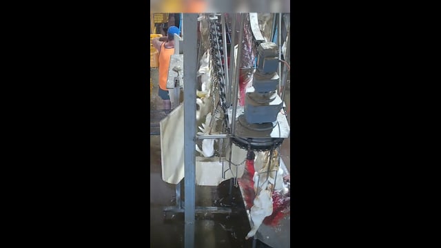Tinder Creek duck slaughterhouse NSW (campaign video - Instagram)
