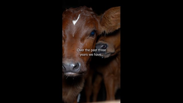 Join Us In 2026 - Animals Are Not Property