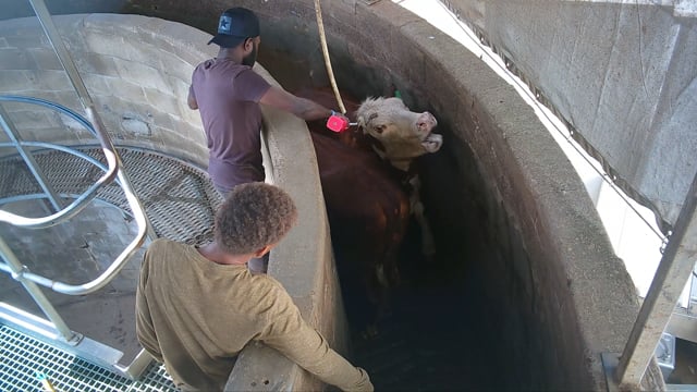 Greenmountain, Coominya QLD (campaign video)