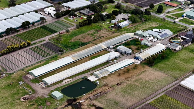 South Gippsland Eggs - Investigation Video