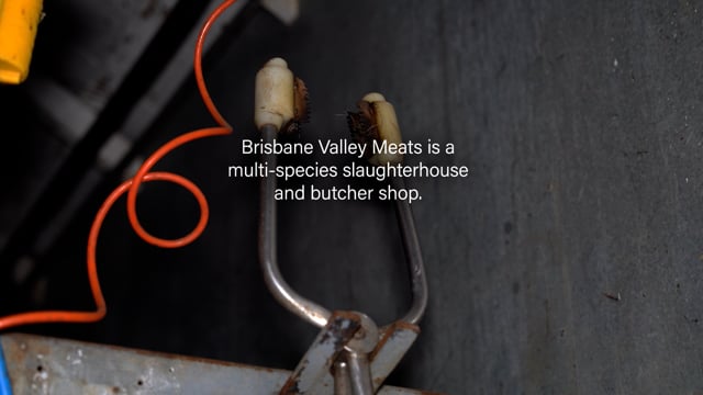 Brisbane Valley Meats Investigation 2024 (Campaign Video)