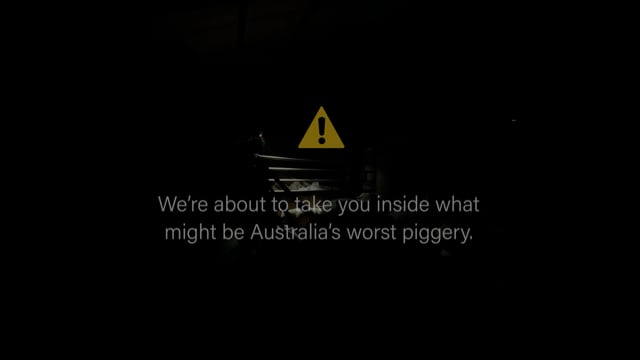 Is this Australia's worst piggery?