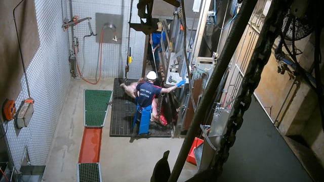Hidden camera: knockbox wider view