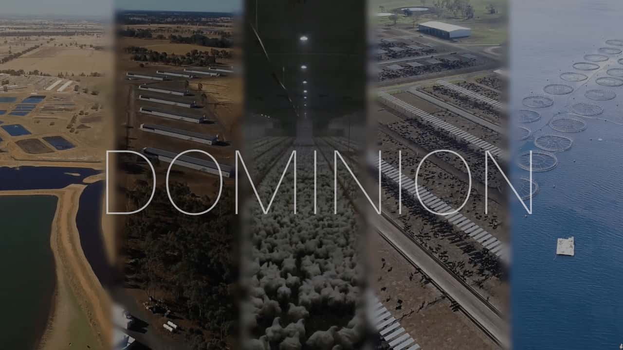 DOMINION in short