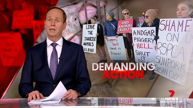 Protest at Andgar Piggery, Dublin SA on 7 News Adelaide (19 July 2025)