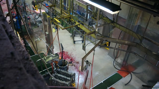 Hidden camera: processing room