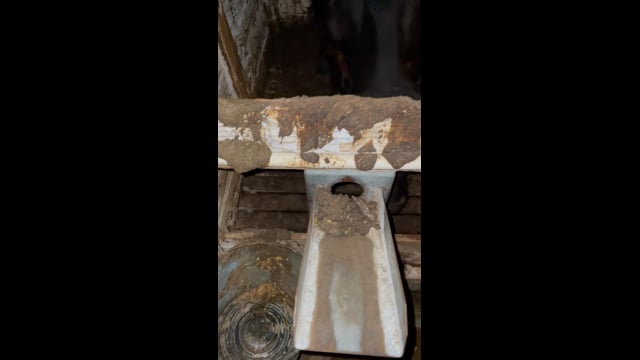 TH v big calf v dirty hutch 1119