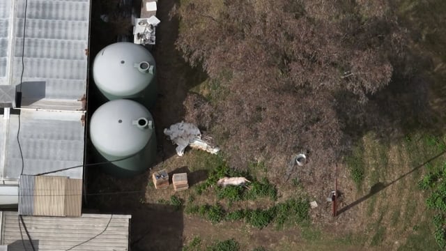 Albar Piggery