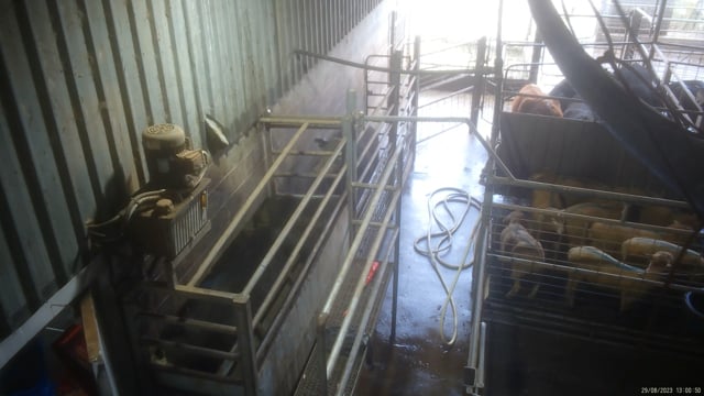 Wal's Cruelty edit-Full