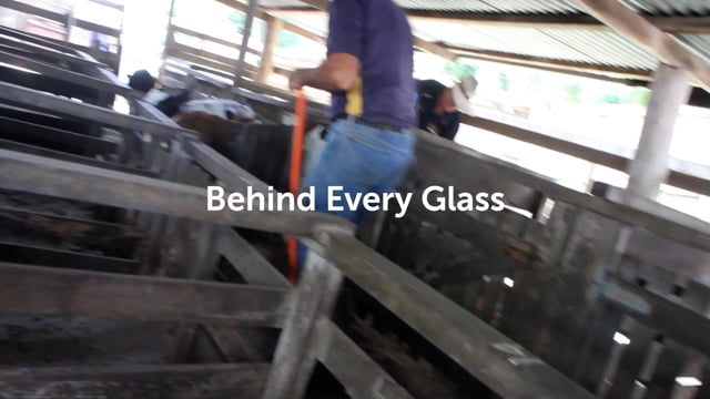 Behind Every Glass - Woodford Saleyard