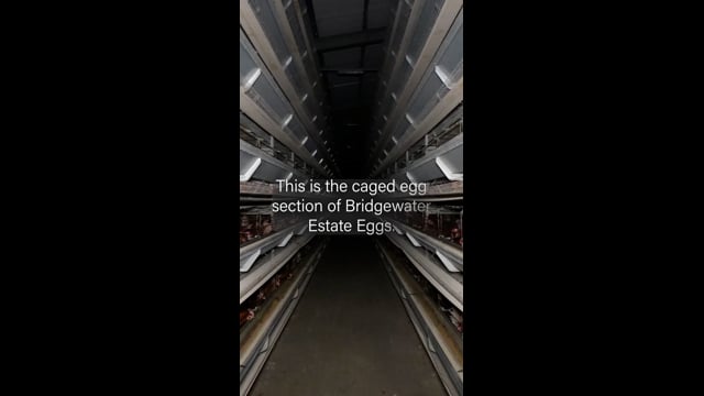 Bridgewater Estate Eggs - Campaign Video (Vertical)