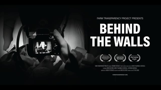 Behind the Walls documentary - Teaser 1