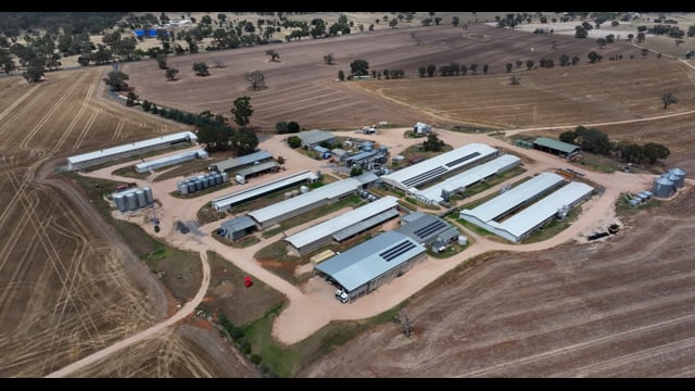 DJI_20260201120333_0202_D - Trim