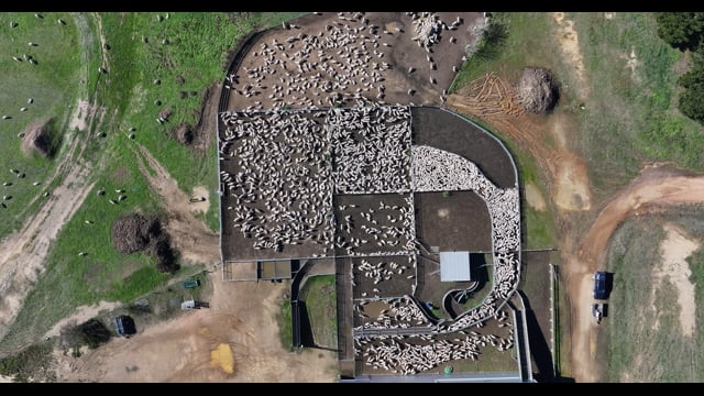 DJI_20260624121621_0097_D