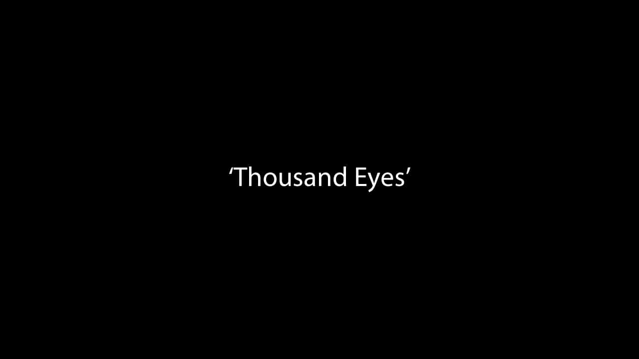 'Thousand Eyes' - Australian animal agriculture