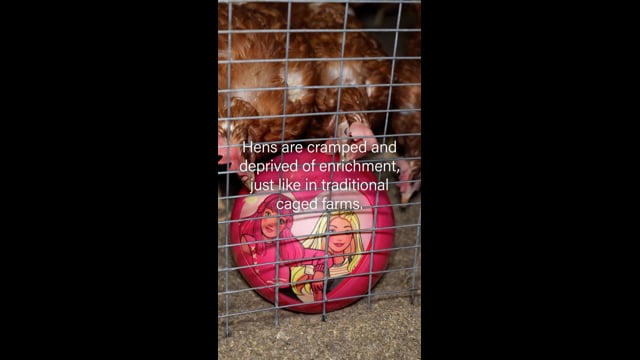 Bridgewater Barn Life (Vertical)