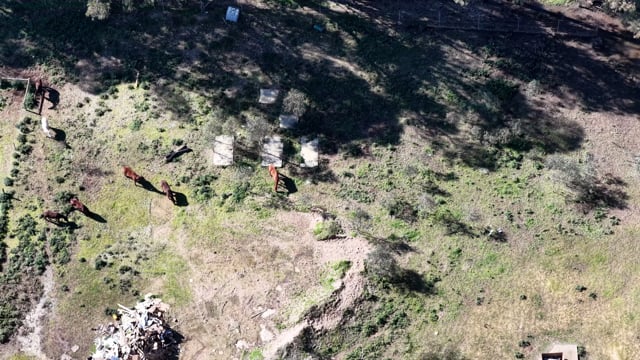 Drone - horse holding yard