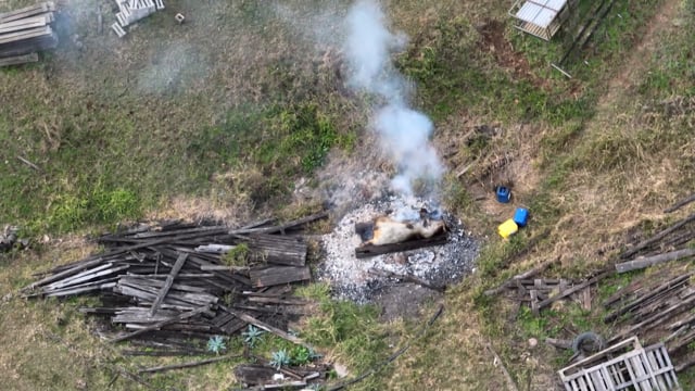 Pig carcass set alight at A.J. Adriaans & Co Piggery