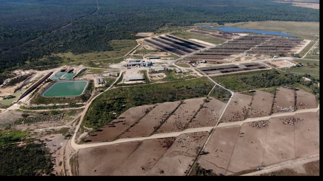 Yarranbrook Cattle Feedlot