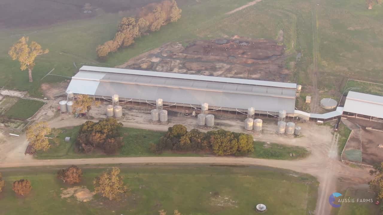 Kaladbro Station Sheep Feedlot