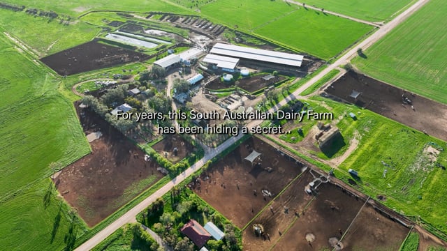 Minko Dairy SA (investigation overview)
