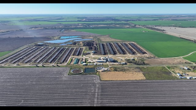 Myola Feedlot - North Star NSW