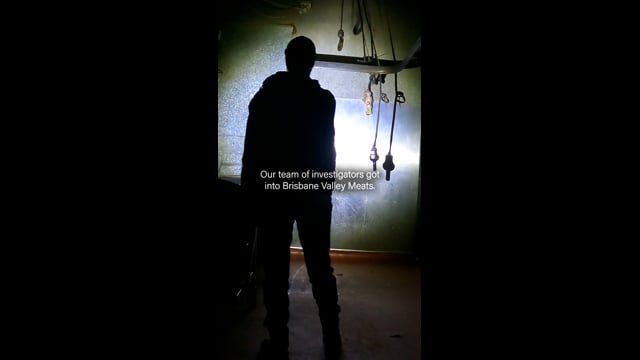 Brisbane Valley Meats Investigation 2025 (Instagram Version - Part 2)