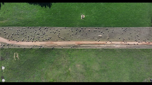 DJI_20260624121218_0085_D
