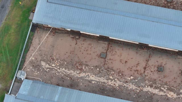 DJI_20260519161120_0084_D