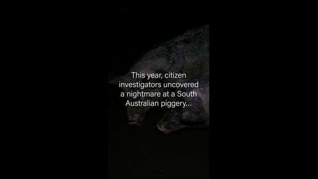 Andgar 2025 - Campaign Video (vertical)