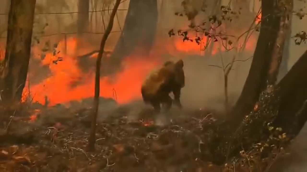 Climate Change in Australia