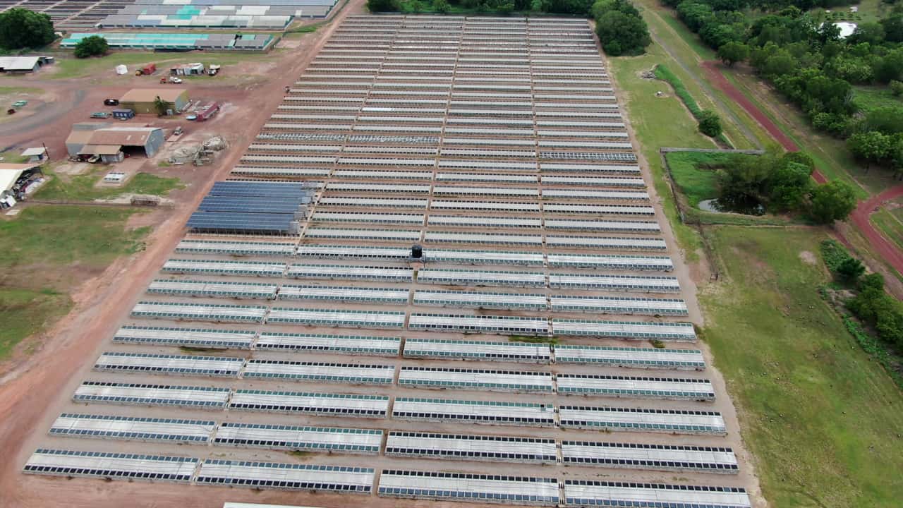 Darwin crocodile farm, Bees Creek NT