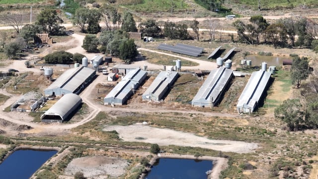 EcoPiggery, Leitchville VIC 2024