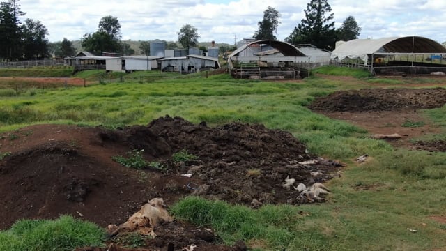 Rosenberger Piggery