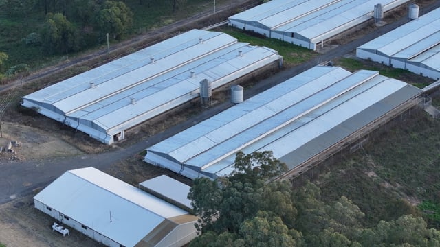 Glossodia Poultry Facility - Drone